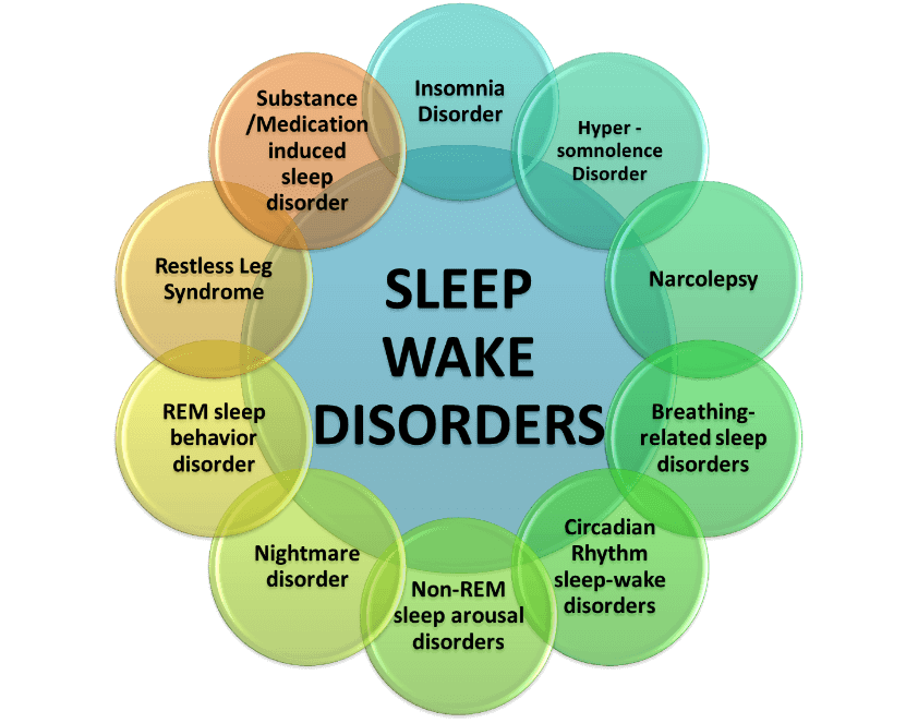 What is Narcolepsy, Obstructive Sleep Apnea & Shift Work Disorder ? - Unitedmedicines