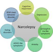 What Leads to A Major Narcolepsy Disorder? - Unitedmedicines